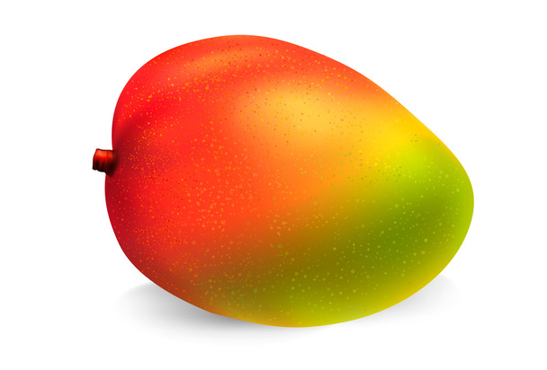 fruta de mango
 - Vector, imagen