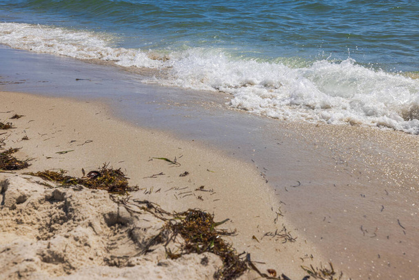 Piękny widok na wybrzeże Oceanu Atlantyckiego z toczenia, piana fale na piaszczystym brzegu. Plaża Miami. Stany Zjednoczone. - Zdjęcie, obraz