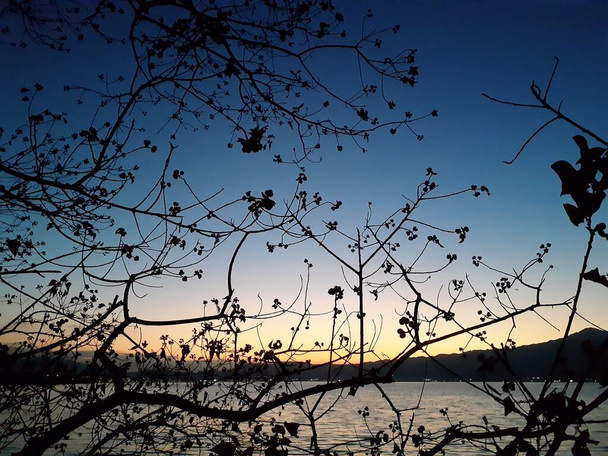 Soir heure magique gradient ciel, branches d'arbres et feuilles mortes au premier plan, mélancolie - Photo, image