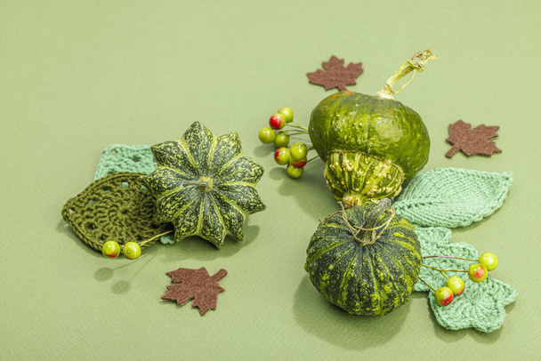 Jesienna przytulna kompozycja. Szydełkowane liście, dynie, jagody, ręcznie robione, jesienne hobby. Tradycyjna dekoracja, dzierganie. Savannah zielone tło, zbliżenie - Zdjęcie, obraz