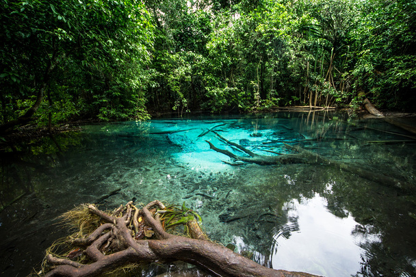 Emerald pool - Foto, afbeelding