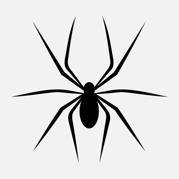 εικονίδιο διανύσματος αράχνης απομονωμένο σε λευκό φόντο - Διάνυσμα, εικόνα