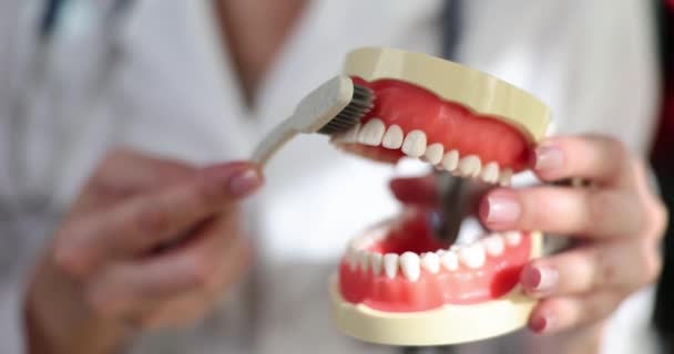 Dişçi elleri diş fırçalama kuralını gösterir. Diş fırçalama ve ağız temizliği. - Video, Çekim