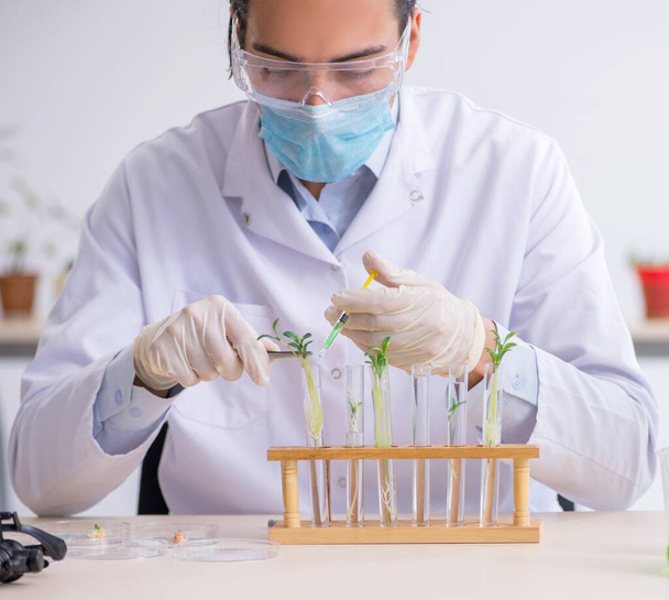 Молодой химик, работающий в лаборатории - Фото, изображение