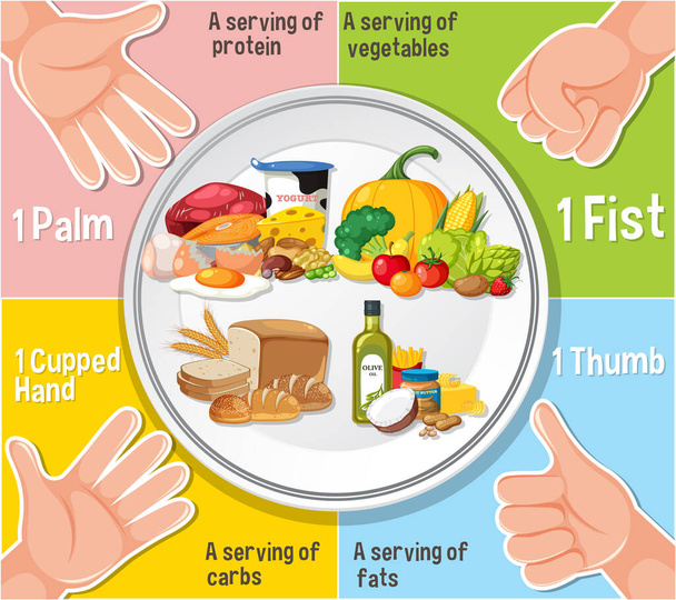 Learn how to compare food portions using hand sizes - Vector, Image