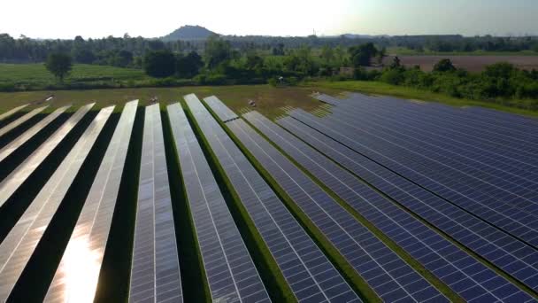 太陽光パネル 夏の太陽光発電フィールド.太陽からの太陽電池パネル発電機. タイのクリーンテクノロジーエネルギー移行 チョンブリの背景にある山 - 映像、動画