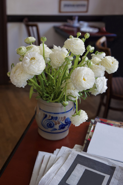 Valkoinen ranunculus maljakko pöydällä
 - Valokuva, kuva