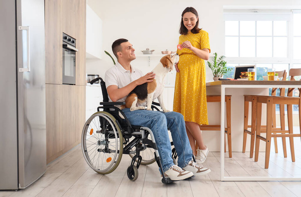 Mladý muž na invalidním vozíku se psem Beagle a jeho těhotnou ženou doma - Fotografie, Obrázek