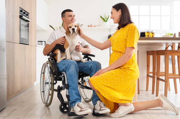 Young man in wheelchair with Beagle dog and his pregnant wife at home - Fotoğraf, Görsel