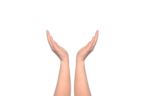 Рука жінки ізольована на білому
 - Фото, зображення