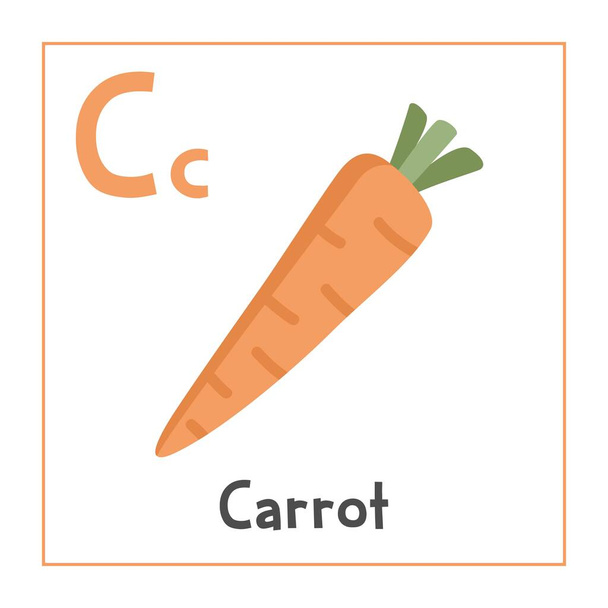 Porkkanapätkä. Porkkana vektori kuvitus sarjakuva tasainen tyyli. Vihannekset alkavat kirjaimella C. Vihannesten aakkoskortti. Opin C-kirjaimen. Lasten koulutus. Söpö porkkana vektori suunnittelu - Vektori, kuva
