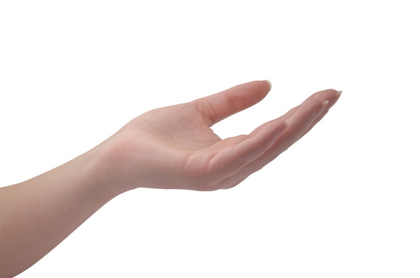 Рука жінки ізольована на білому
 - Фото, зображення