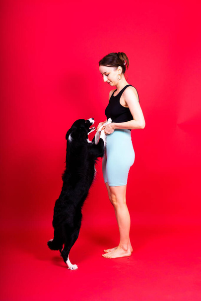 Cute young woman kisses and hugs a puppy border collie dog. Love between owner and dog. - Photo, Image