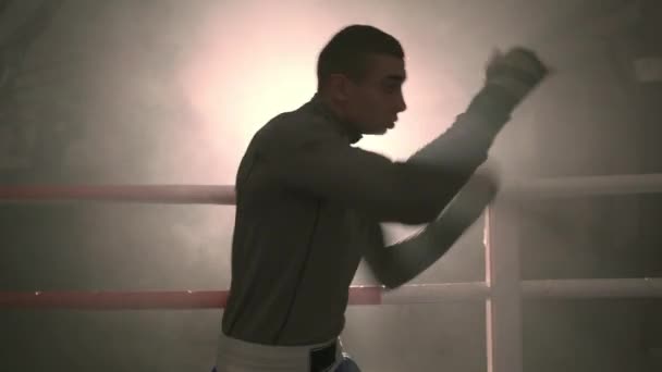Concepto deportivo. Joven boxeador deportivo luchando sobre fondo negro con humo. Copiar espacio - Metraje, vídeo