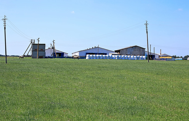 A farmon széna betakarításának - Fotó, kép