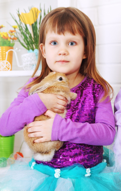 女の子はウサギを抱きしめてください。 - 写真・画像
