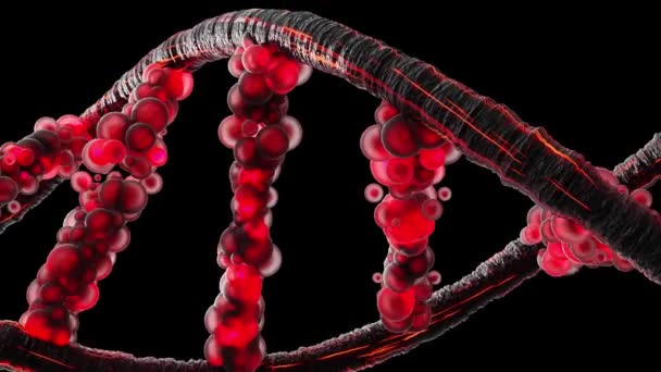 DNA molecuul van deeltjes op groen scherm en Alpha Channel. Doorschijnend zwart en rood. kan worden gebruikt in onderwijs, wetenschap of cosmetica industrie achtergrond. Element animatie, 3d renderen. - Video