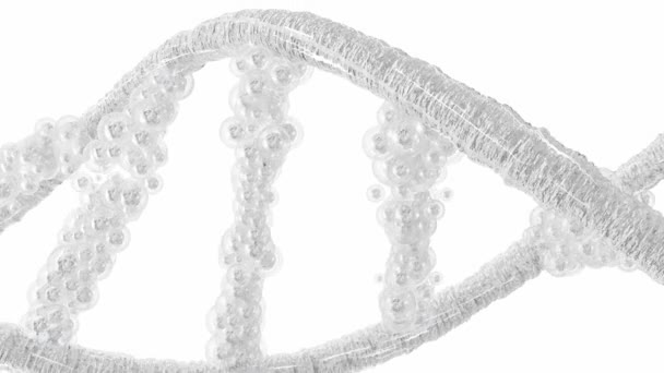 Molecola di DNA d'argento da particelle su sfondo bianco e schermo verde. Concetto di industria scientifica o cosmetica. Animazione degli elementi, rendering 3d. - Filmati, video