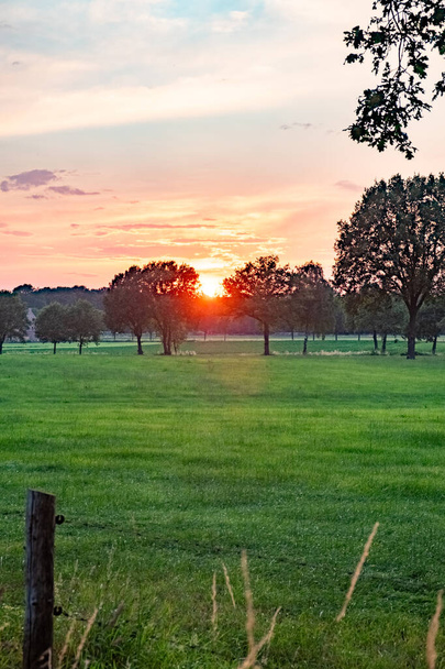 Tämä kuva kauniisti kehystää maalaismainen auringonlasku kurkistaa läpi siluetoitu puita maaseudulla. Etualalla oleva aita on tyypillinen pastoraalinen ympäristö, joka johtaa silmän kohti - Valokuva, kuva