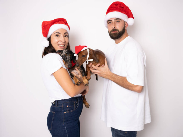 サンタの帽子をかぶった若いカップルと彼らのダフサンド犬の撮影スタジオは,白い背景の上に隔離されたクリスマスを祝います. - 写真・画像