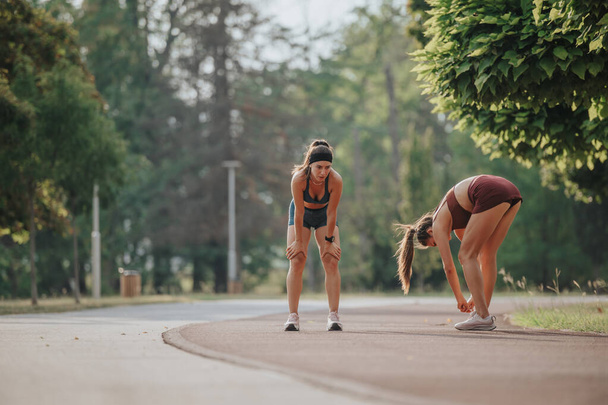 Attractive athletes jogging in nature, inspiring a healthy lifestyle and workout motivation. - Photo, Image