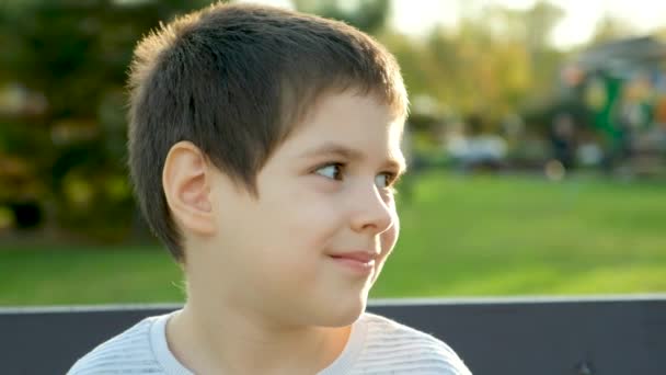 Portret van een lachende zesjarige jongen in een herfstpark. Gelukkige jeugd. - Video