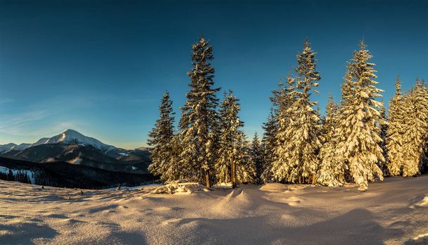 Východ slunce v zimě Karpatské hory. Krásná zasněžená krajina. Snowdrift po sněžení - Fotografie, Obrázek