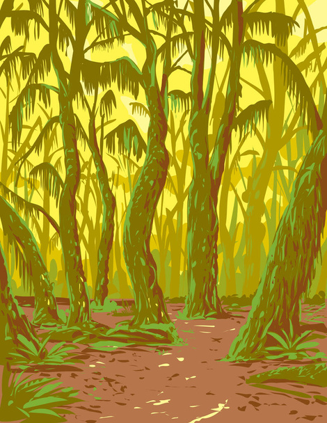 WPA plakat sztuki Hoh Rainforest, umiarkowany las deszczowy na Półwyspie Olimpijskim w Olympic National Park w stanie Waszyngton USA wykonane w pracach administracji projektu lub federalnego stylu projektu artystycznego - Wektor, obraz