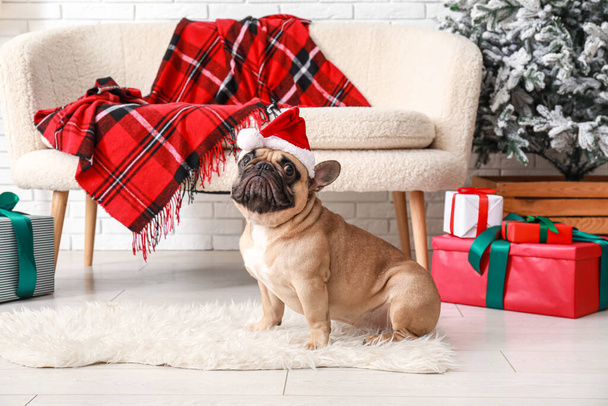 Noel arifesinde evde Noel Baba şapkalı sevimli Fransız bulldog. - Fotoğraf, Görsel