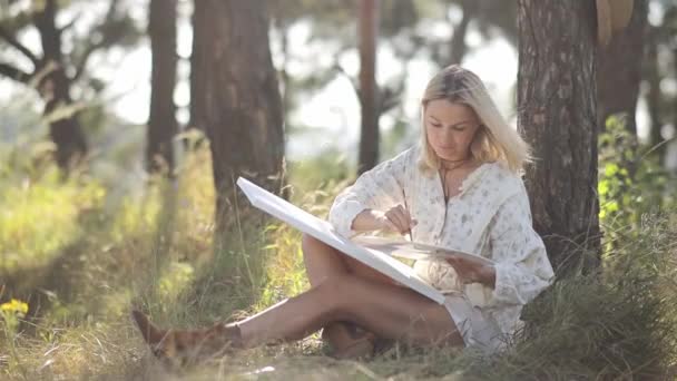 Művész lány fest egy képet a szabadban. Egy tehetséges nő festett egy képet egy zöld mezőn.. - Felvétel, videó