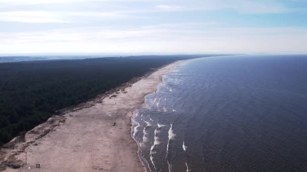 Bos Landschap AERIAL uitzicht drone met zandstrand van de Oostzee in Polen groen bos. Natuurreservaat op het eiland Sobieszewo in Gdansk Polen - Video