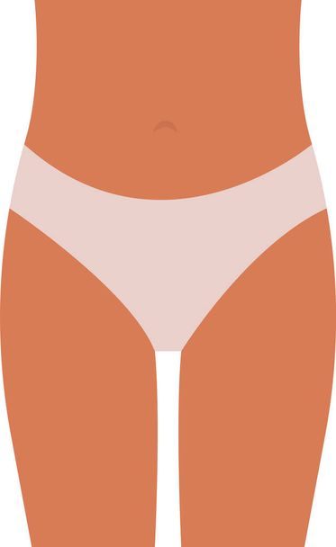 Donna inferiore corpo vettoriale illustrazione - Vettoriali, immagini