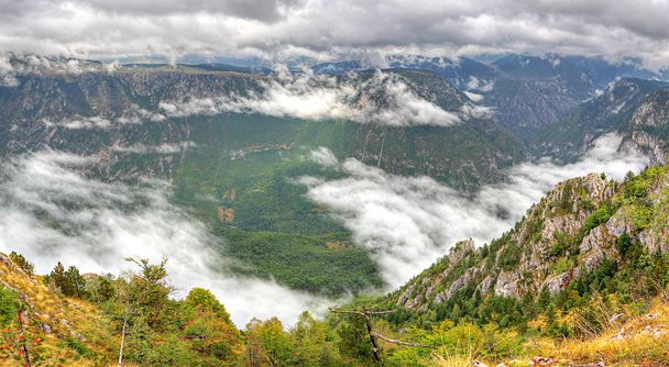 Panorama kanionu tara, światowego dziedzictwa unesco, Czarnogóra. - Zdjęcie, obraz