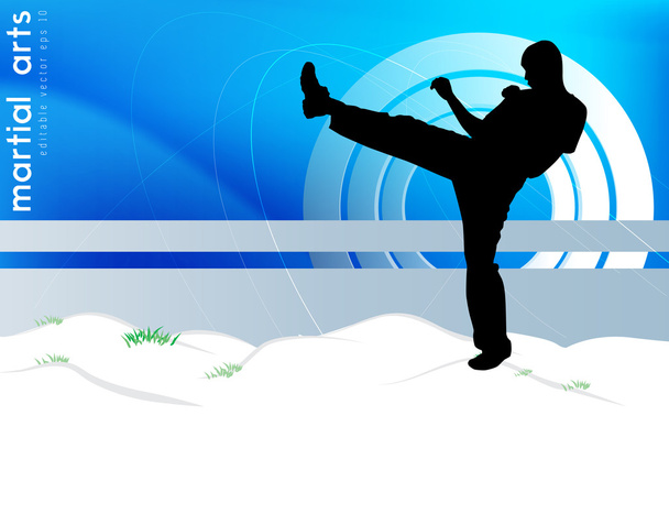 Ilustración de karate
 - Vector, imagen