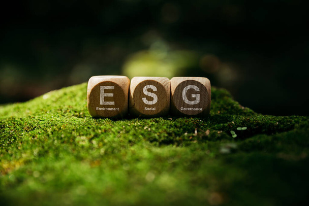 ESG - Environment Social and Governance, Holzwürfel mit Abkürzung ESG auf Moos, Weltkonzept für nachhaltige Umwelt. - Foto, Bild