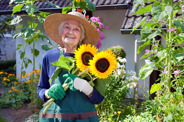 Starszy kobieta gospodarstwa słoneczniki - Zdjęcie, obraz