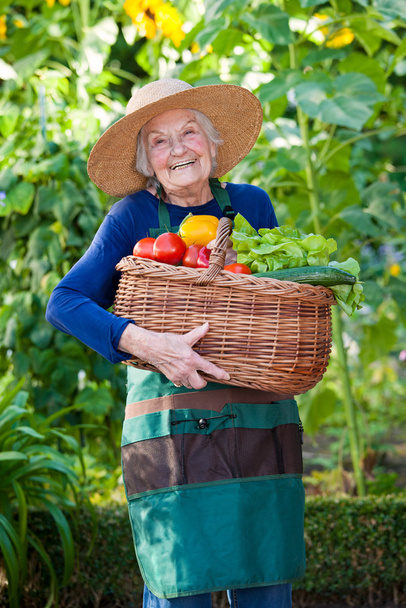 Senior Woman with Basket of Vegetables at Garden - Foto, immagini