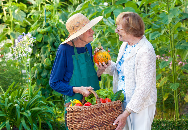 Senior Ladies Chatting at Farm - Фото, изображение