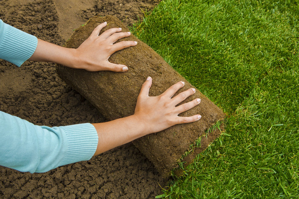 Gardener applying turf rolls - Foto, Imagen
