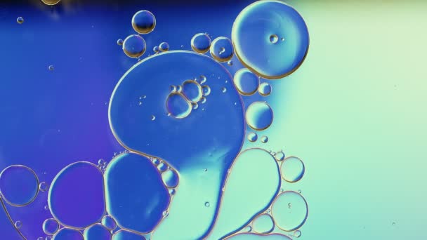 Abstraktní barevné kapky potravinového oleje Bubliny a koule tekoucí na vodě - Záběry, video