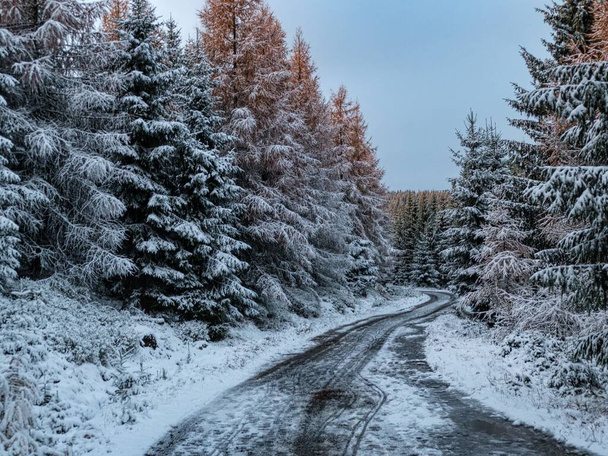 пригодницький пішохідний зимовий пейзаж у чеченських горах  - Фото, зображення