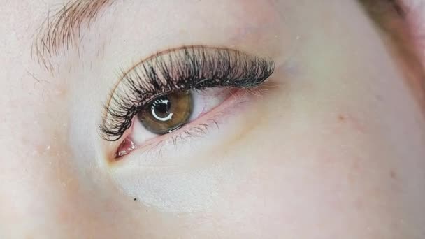 close up of eyelash extensions in beauty salon macro eye ,2d volume 3d volume,russian volume, classical style, remover,patches,lash technician,beautician,lashmaker,cat eye - Footage, Video