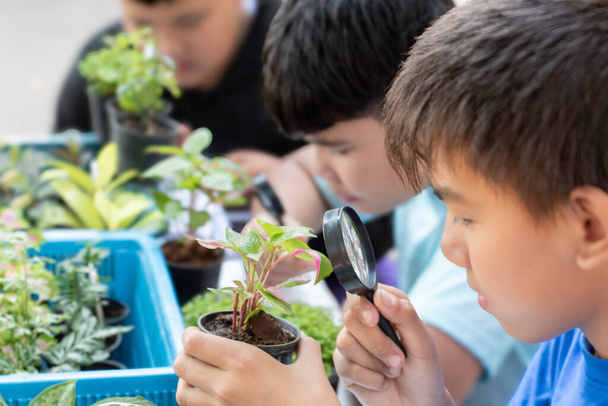 Asyalı çocuklar ev bitkilerini öğreniyor ve fen projeleri yapıyor. Okulun botanik bahçesindeki küçük saksılarda küçük bitkiler yapıyorlar. Büyüteç kullanarak, yeni düzenlenmiş.. - Fotoğraf, Görsel