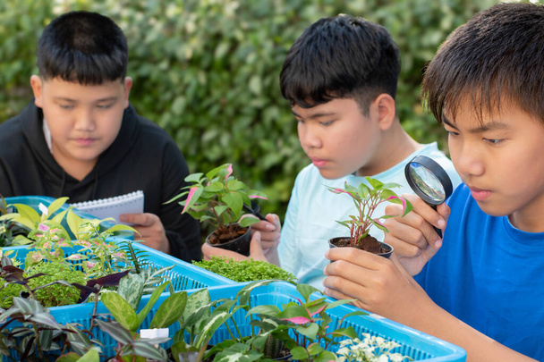 Los niños asiáticos que aprenden las plantas de interior y que hacen el trabajo del proyecto de la ciencia tipos de plantas pequeñas en ollas pequeñas en la mesa en el jardín botánico de la escuela usando lupa, nuevo editado. - Foto, Imagen