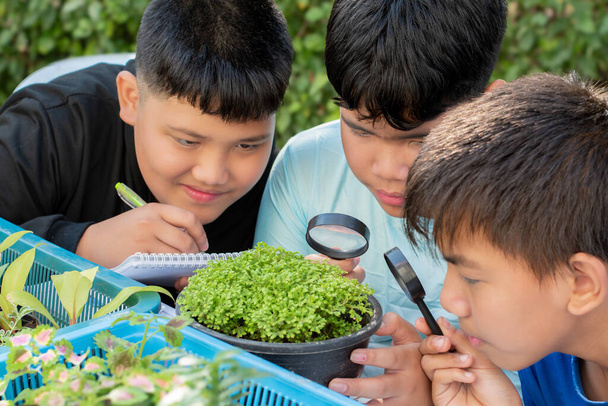 Азиатские мальчики учат комнатные растения и занимаются научными проектами типы небольших растений в маленьких горшках на столе в школьном ботаническом саду с помощью увеличительного стекла, новый редактируется. - Фото, изображение