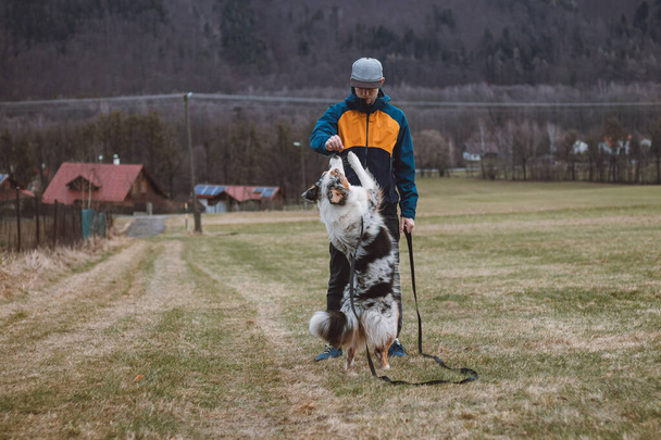 Young cynologist, un entrenador de perros entrena a un pastor australiano de cuatro patas en comandos básicos usando golosinas. Amor entre perro y humano. Lindura.. - Foto, Imagen