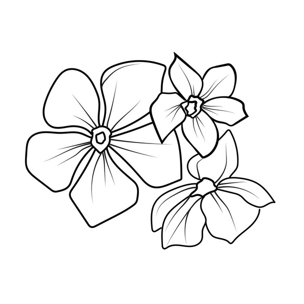 Minimalistische enkele periwinkle bloem tekeningen, periwinkle bloem vector kunst, tekening overzicht periwinkle bloem tatoeage, kleine periwinkle bloem tatoeage, inkt illustratie clipart geïsoleerd op witte achtergrond mooie bloemen met bloemblaadjes - Vector, afbeelding