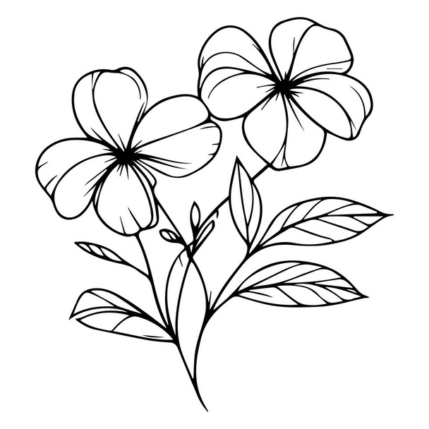 Vektorvázlat a virágokról. periwinkle vonal rajzok, kézzel festett Madagaszkár periwinkle fal művészet, botanikus vinca fal művészet, egyszerű periwinkle rajz, noyontara állomány vázlat rajz vektor virágok és levelek - Vektor, kép