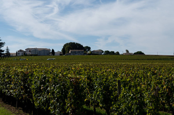Szőlőültetvények St. Emilion város közelében, vörös Bordeaux bor, Merlot vagy Cabernet Sauvignon szőlő előállítása cru osztályú szőlőültetvényeken Saint-Emilion bortermelő régióban, Franciaország, Bordeaux ősszel - Fotó, kép