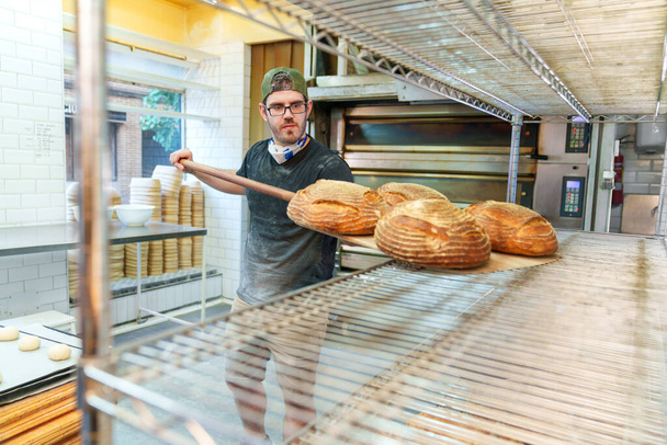 Skilled baker pulls out freshly-baked, crusty loaves from an oven amidst the warm ambiance of a rustic bakery. - Photo, Image
